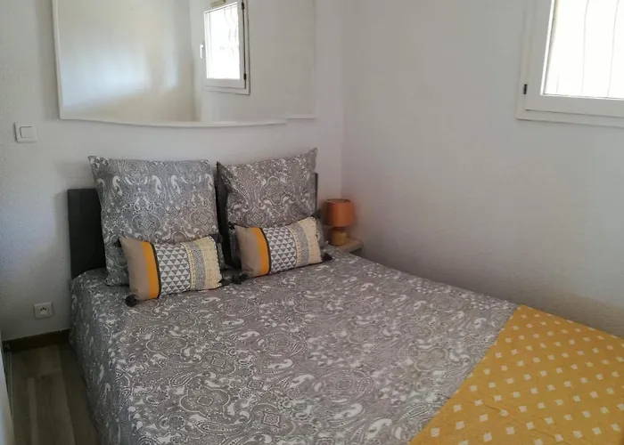 Steddy Les Coralines *