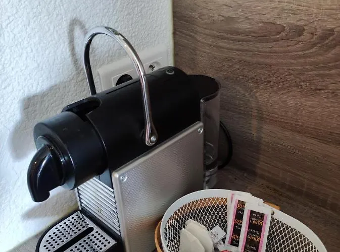 Steddy Les Coralines * 圣马克西姆